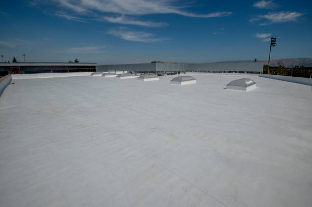Best Rubber Roofing (EPDM, TPO)  in Roscommon, MI