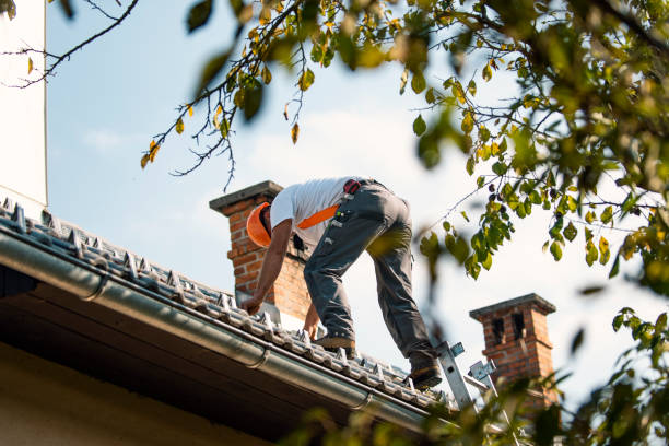 Best Emergency Roof Repair Services  in Roscommon, MI