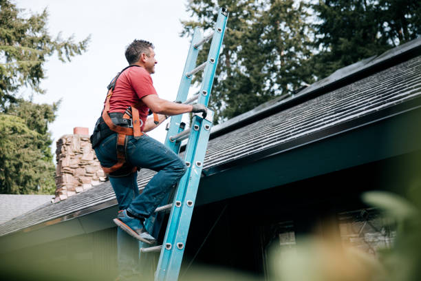 Best Roof Installation  in Roscommon, MI